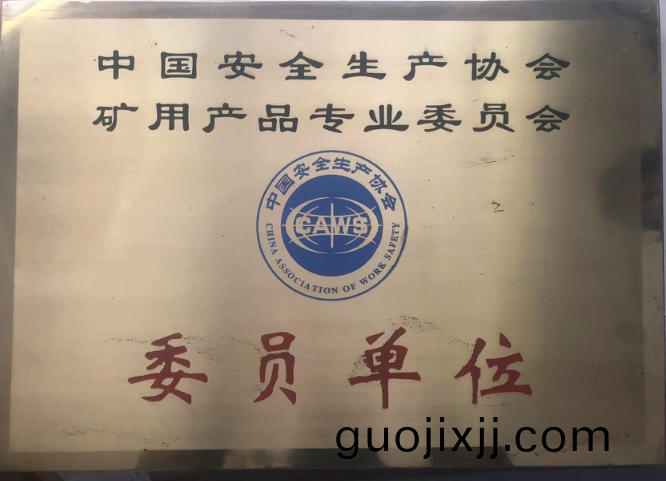 榮(rong)譽(yu)資(zi)質(zhi)