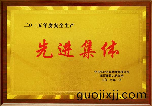 榮(rong)譽資(zi)質(zhi)